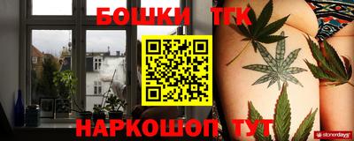 тгк Нальчик