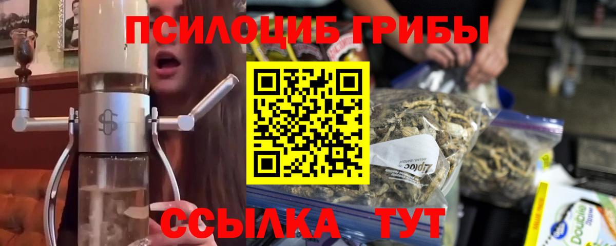 Псилоцибиновые грибы прущие грибы Унеча