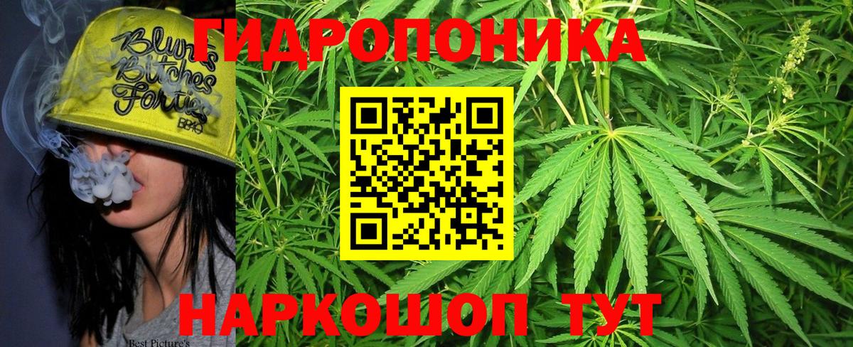 Бошки Шишки марихуана  МАРИХУАНА конопля  Вход с VPN  Канабис планчик  Каннабис тримм  Унеча 
